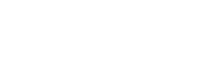 Riflecx partener Strategic Defense