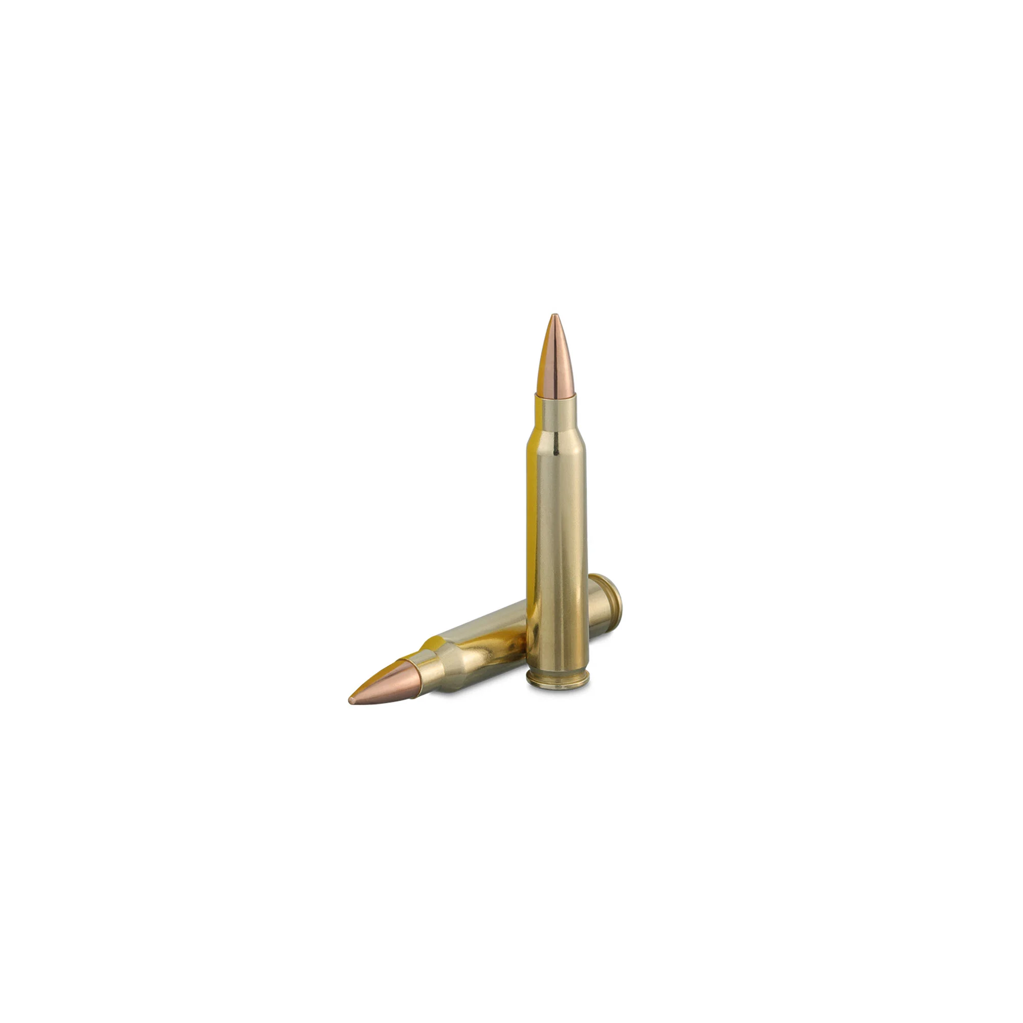 SWISS P DS-1 cartuș, 3.6 g : 55 gr. Cal. .223 Rem - Strategic Defense